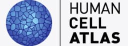 The Human Cell Atlas